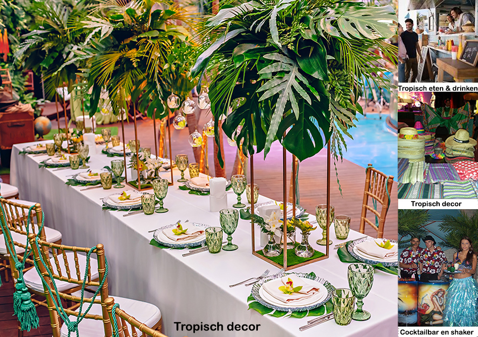 Braziliaans themafeest