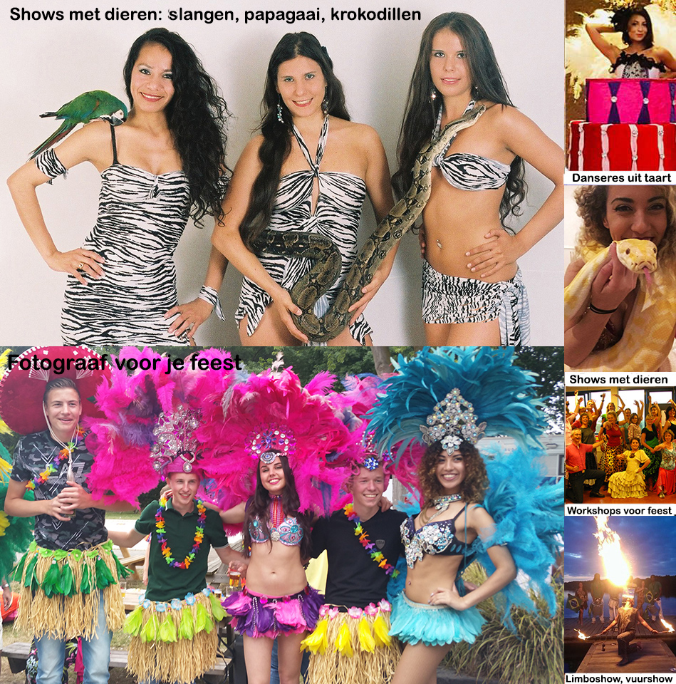 Braziliaanse Themafeest